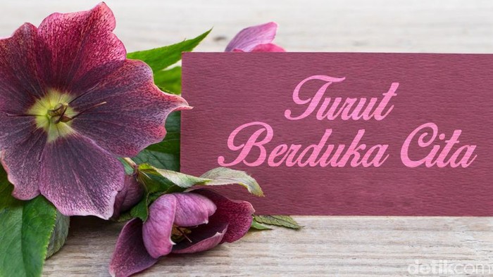 JAKARTA — Kabar duka datang dari jajaran Partai Gerakan Indonesia Raya (Gerindra). Salah satu kadernya, Lie Suratno, yang lebih dikenal dengan nama pena Zeng Wei Jian, meninggal dunia pada hari ini, Minggu (21/6). Almarhum sempat menjalani perawatan di rumah sakit sebelum akhirnya berpulang.