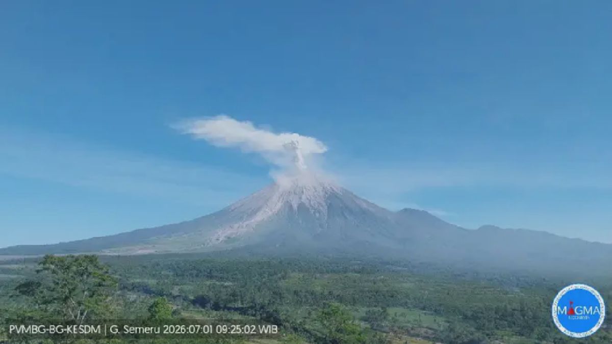 Gunung Semeru Kembali Erupsi, Kolom Abu Vulkanik Capai 900 Meter