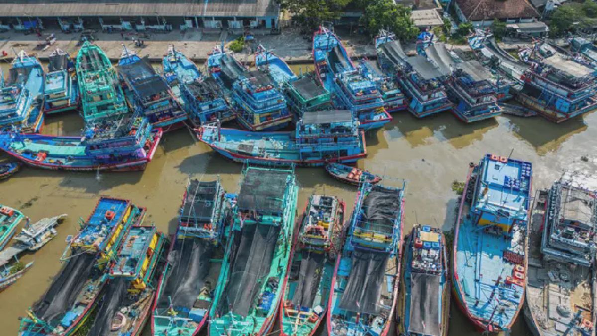 Harga BBM Non-Subsidi Naik, Nelayan Juwana Berhenti Melaut
