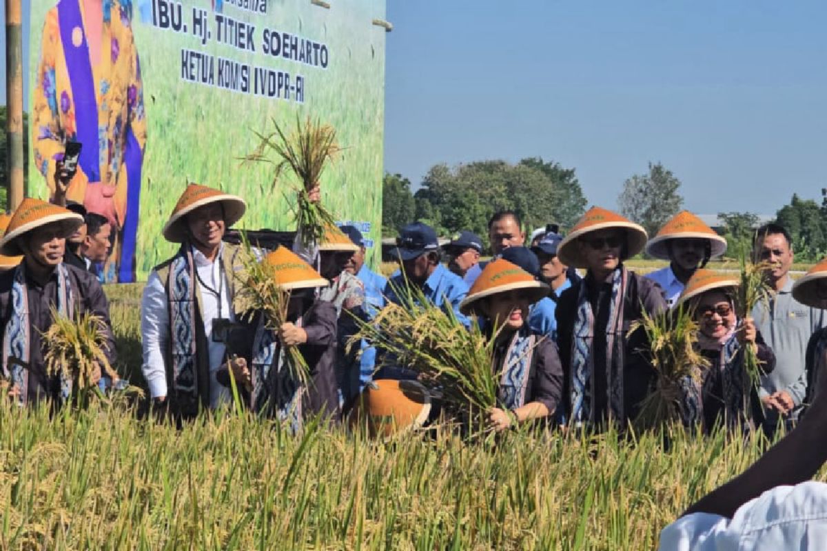 BULOG dan DPR Perkuat Sinergi Dukung Petani Klaten