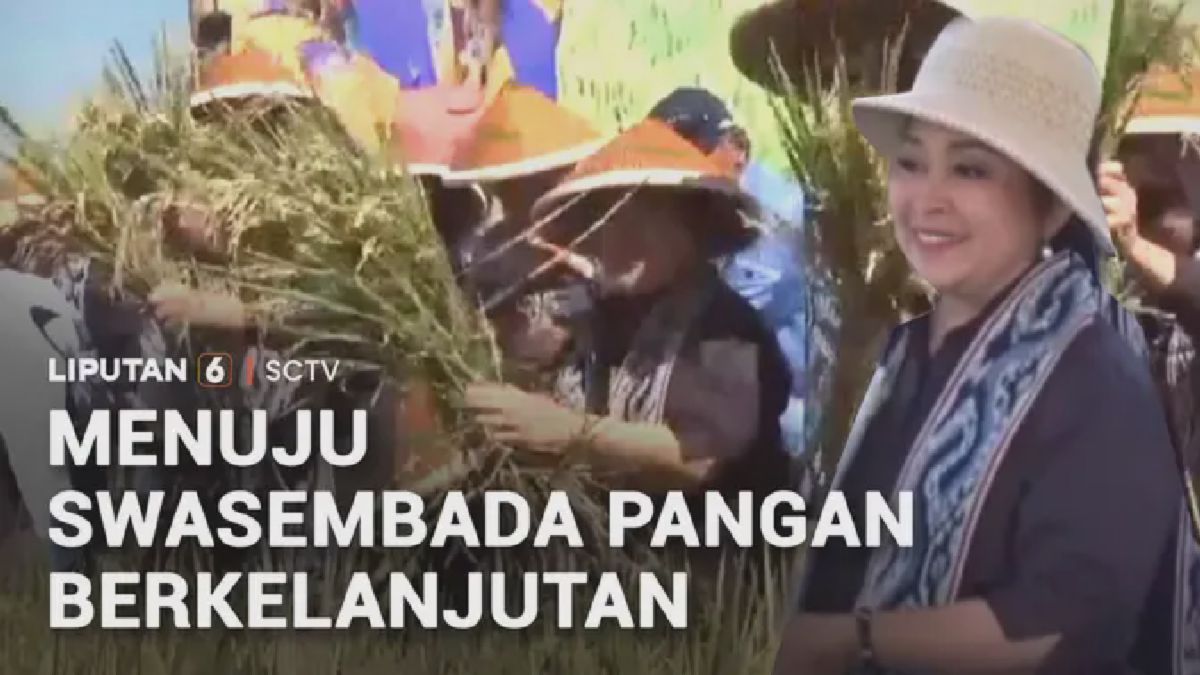 Titiek Soeharto Pimpin Komisi IV DPR Pantau Panen Raya di Klaten