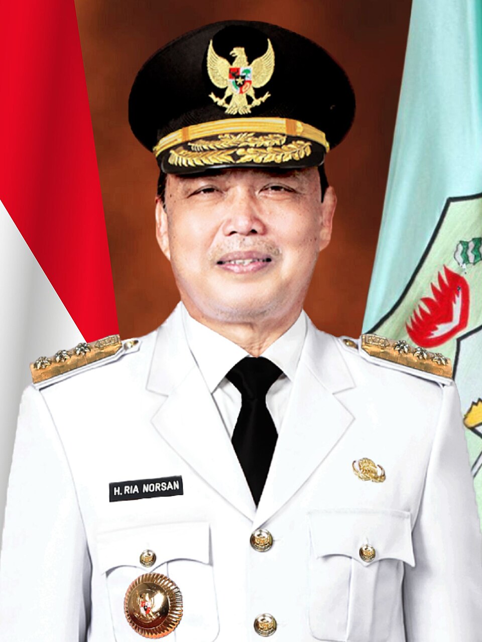 Ria Norsan: Profil dan Kinerja Gubernur Kalimantan Barat